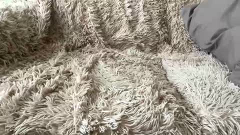 Big dick G online show from 7, 4, 2026