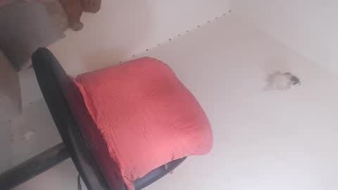 Snapshot of big_goddess_black chatting on 21, 3, 2026 dashiell online show from 21, 3, 2026