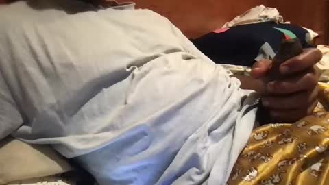 Snapshot of bigbrown_boy chatting on 21, 9, 2025 bigbrown_boy online show from 21, 9, 2025