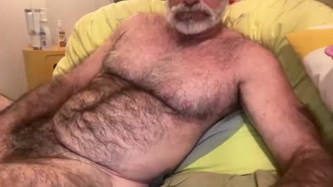 Snapshot of bigbush1 chatting on 11, 7, 2026 big bush online show from 11, 7, 2026
