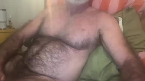 Snapshot of bigbush1 chatting on 19, 7, 2026 big bush online show from 19, 7, 2026