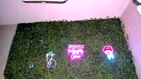 bigbuttsarena online show from 22, 4, 2026