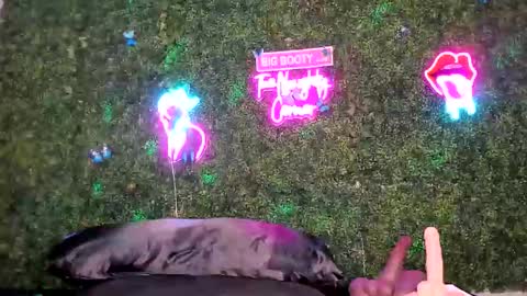 Snapshot of bigbuttsarena chatting on 2, 5, 2026 bigbuttsarena online show from 2, 5, 2026