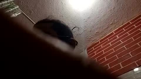 BigDaddykodack online show from 28, 10, 2025