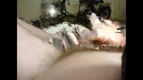 bigdaddydongarlets391292 online show from 29, 9, 2025