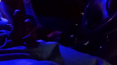 bigdiccbrannn online show from 9, 2, 2025