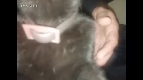 Big online show from 22, 2, 2026