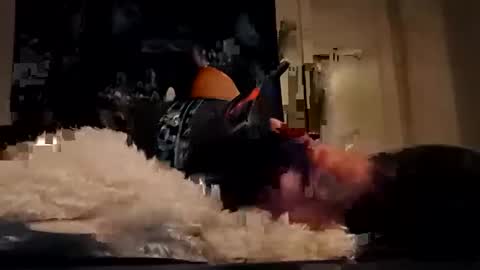 bigdickdaddy7201979564868 online show from 19, 10, 2025