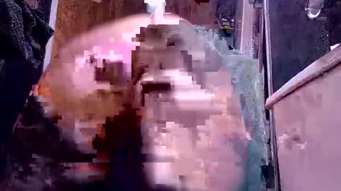 Snapshot of bigdog9thick chatting on 6, 12, 2024 bigdog9thick online show from 6, 12, 2024