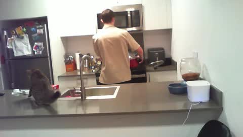 BigWilly online show from 1, 10, 2025