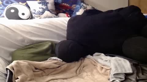 Bigandthick online show from 8, 12, 2024