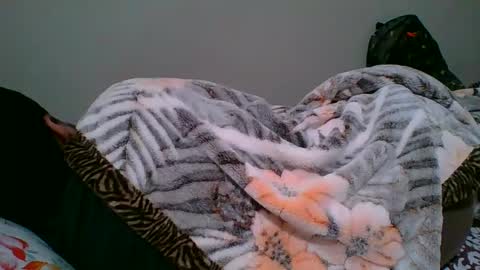 Snapshot of bighandsomesatisfy chatting on 6, 1, 2025 bighandsomesatisfy online show from 6, 1, 2025