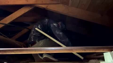 Snapshot of bigjim6646 chatting on 21, 9, 2025 bigjim6646 online show from 21, 9, 2025