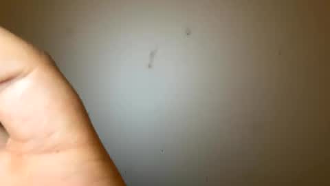 bigmaanbulk online show from 26, 1, 2025