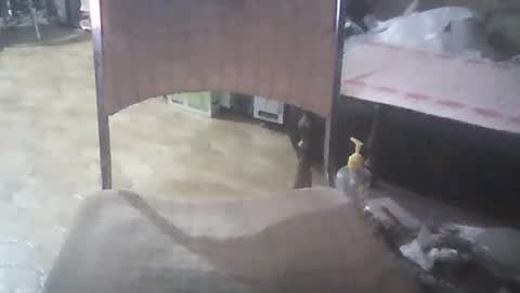 bigpenix online show from 26, 1, 2025