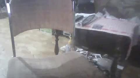 bigpenix online show from 2, 3, 2025