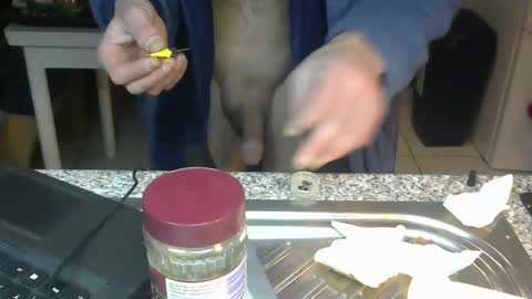 Snapshot of bigreallover chatting on 22, 1, 2025 ...... online show from 22, 1, 2025