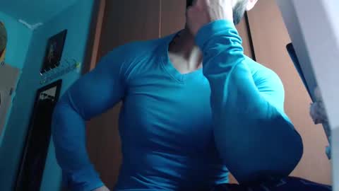 BigStallion online show from 17, 11, 2025