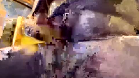 bigukman52 online show from 16, 1, 2026