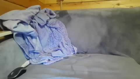 bik40 online show from 27, 12, 2024