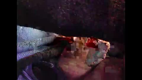 Snapshot of bilco03 chatting on 29, 10, 2025 bilco03 online show from 29, 10, 2025