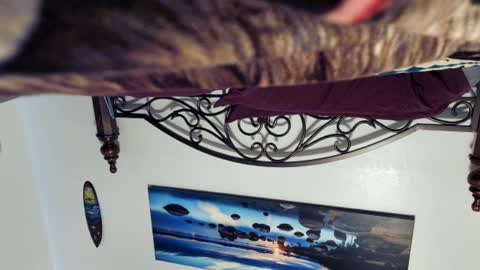 Snapshot of billy1850 chatting on 2, 3, 2025 Starlyte online show from 2, 3, 2025