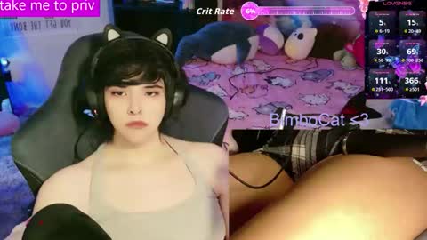 BimboCat online show from 3, 2, 2026