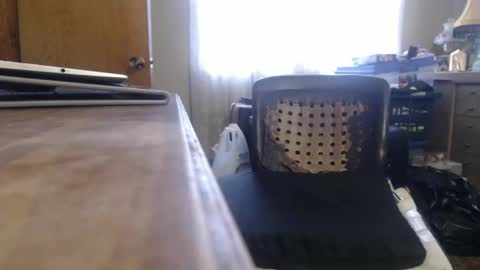 Snapshot of bimbttm chatting on 19, 12, 2024 Bimbttm online show from 19, 12, 2024