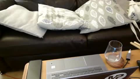 bindmedown online show from 7, 2, 2025