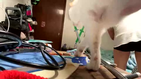 Manu O online show from 9, 11, 2025