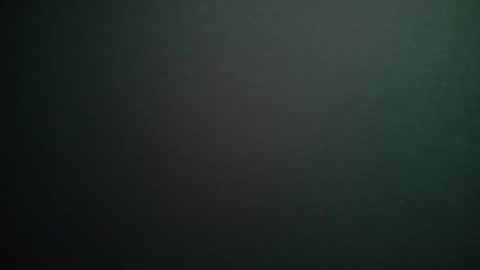 bitwink30 online show from 13, 2, 2026