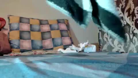 if you love pussy give 1 token - im a poor girl any token counts-my shop video pussy  virgina  hairy pussy 1 token online show from 10, 3, 2025