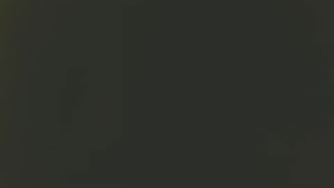 Bill online show from 2, 12, 2024