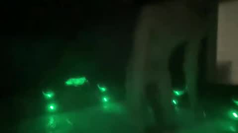 bkws985 online show from 19, 2, 2026