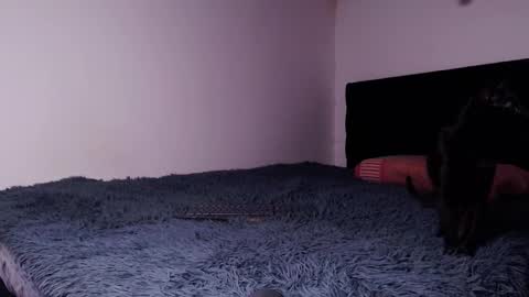 Snapshot of black_firex chatting on 6, 10, 2025 black_firex online show from 6, 10, 2025