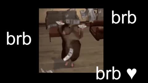  Black Kittie    Wednesday - 1300 - 1900 GMT help me get 100 thumbs up online show from 26, 10, 2025