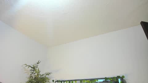 B L A C K  R O S E  online show from 31, 1, 2025