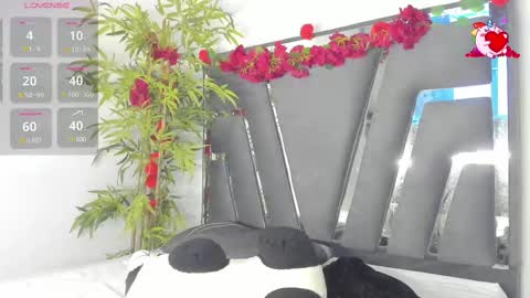 B L A C K  R O S E  online show from 6, 3, 2025