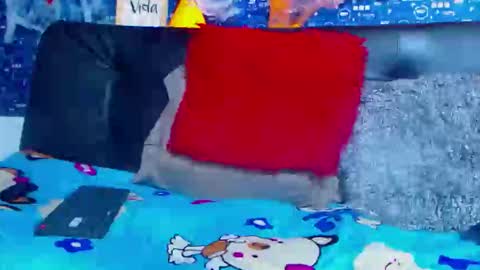 Snapshot of black_seus85 chatting on 5, 11, 2025 duglas online show from 5, 11, 2025