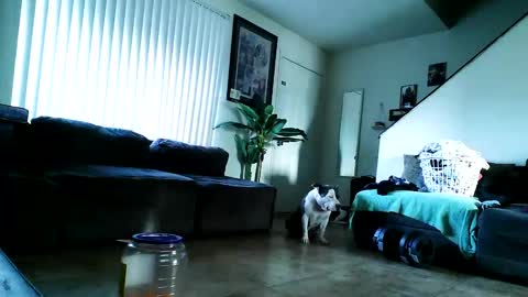 blackriches96 online show from 17, 2, 2025