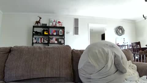 Snapshot of blakeandskylar chatting on 21, 12, 2024 BlakeAndSkylar online show from 21, 12, 2024