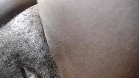  cherry  online show from 14, 9, 2025