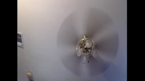Snapshot of blktexdik chatting on 8, 8, 2026 BlkTexDik online show from 8, 8, 2026
