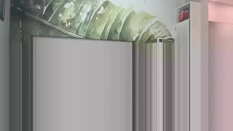 blondebunny999 online show from 18, 3, 2026