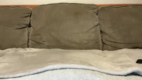 blondiedicks1 online show from 16, 9, 2025