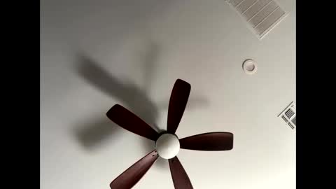 blueskyy56 online show from 13, 1, 2026