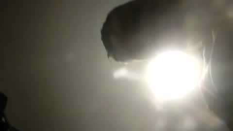 bobby160968 online show from 24, 2, 2025