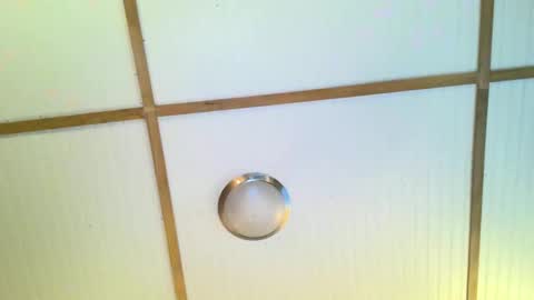 Snapshot of bodacioustits chatting on 2, 11, 2025 bodacioustits online show from 2, 11, 2025