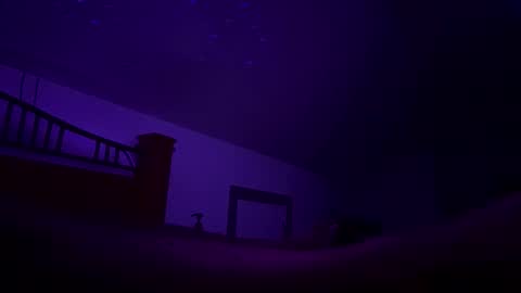 bodiddly64 online show from 12, 10, 2025