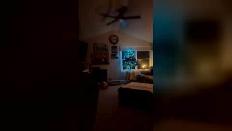 bodiddly64 online show from 14, 12, 2025